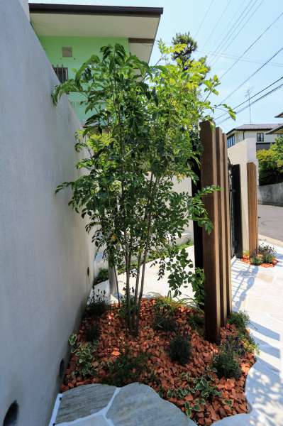 門扉脇のシンボルツリーのシマトネリコと枕木材
