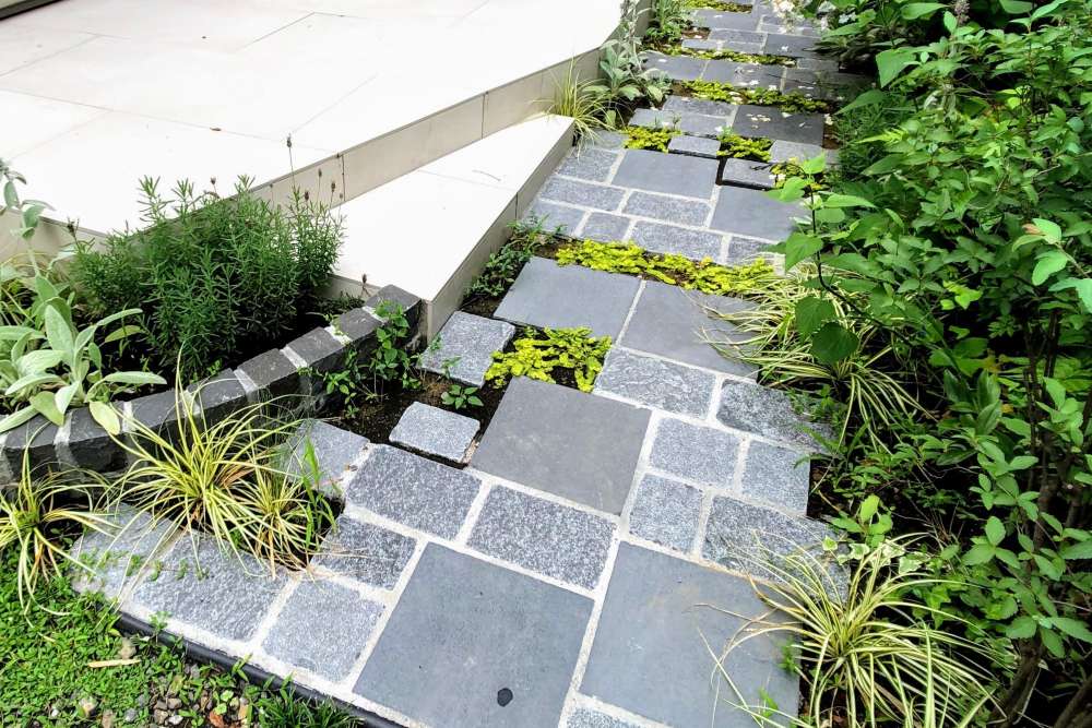 サイクルポートへ続く道