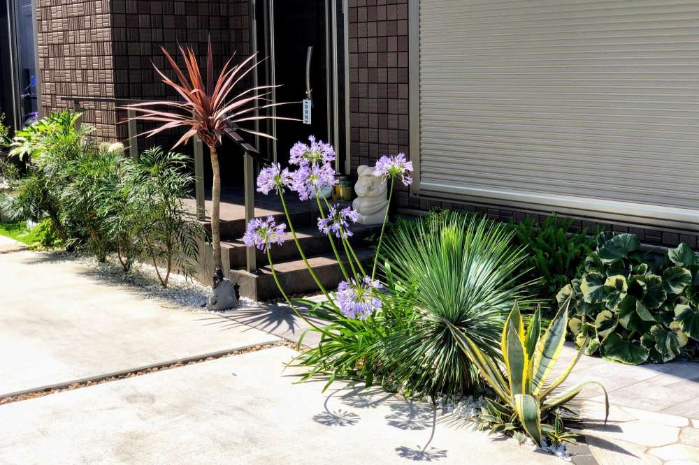 玄関アプローチ