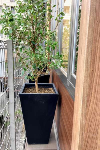 隙間にプランターを