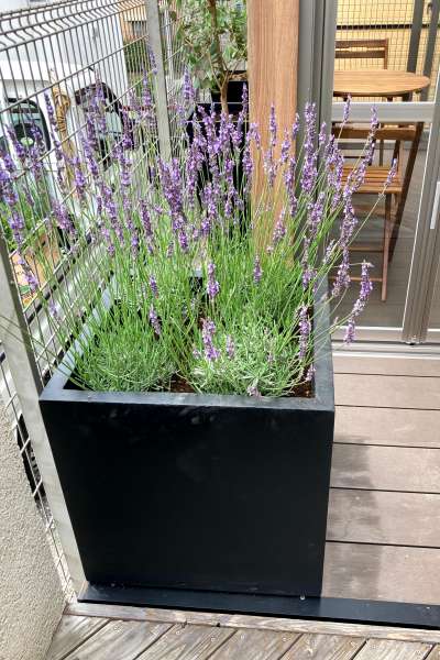 既存のウッドデッキとフラットに