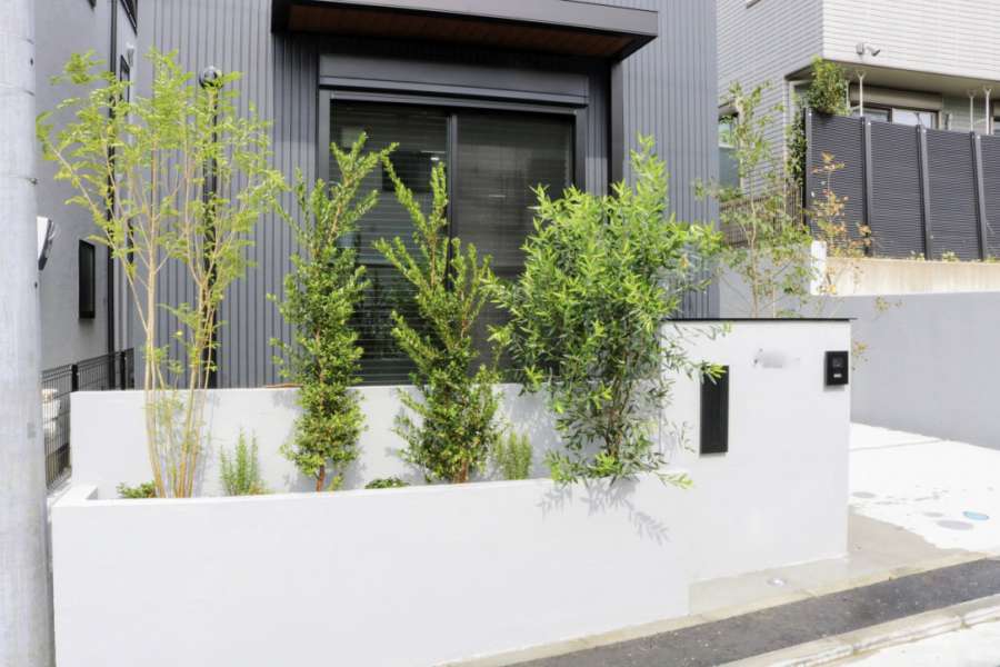 目隠しを兼ねた腰高花壇には鮮やかなグリーン。オリーブ、ギンバイカ、シマトネリコなどを植樹。花壇は腰高にすることで、お手入れの際の腰への負担が少なくなります。