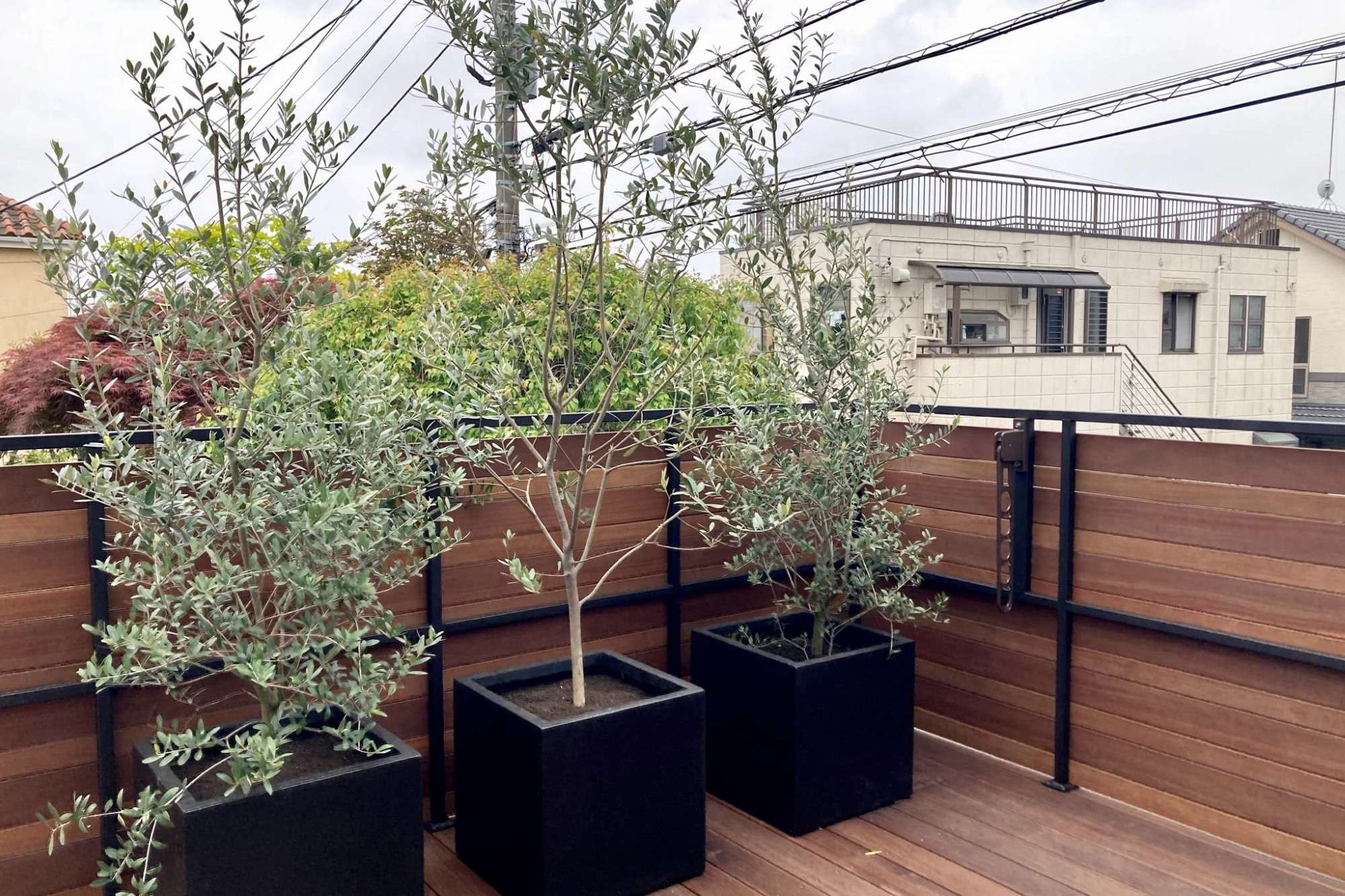 デッキからの眺め