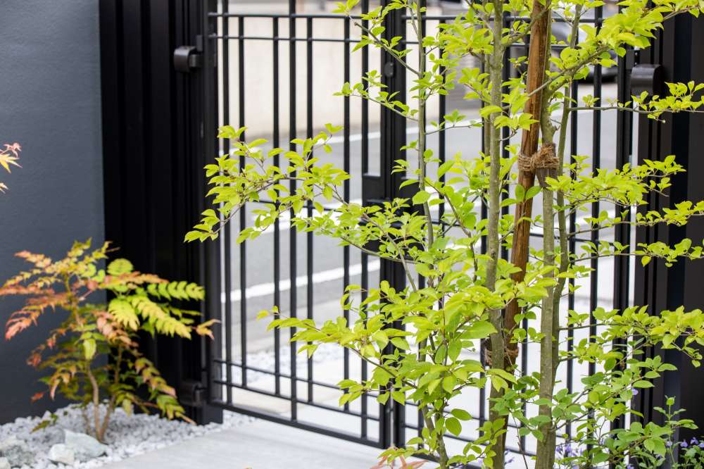 ブラックの門扉