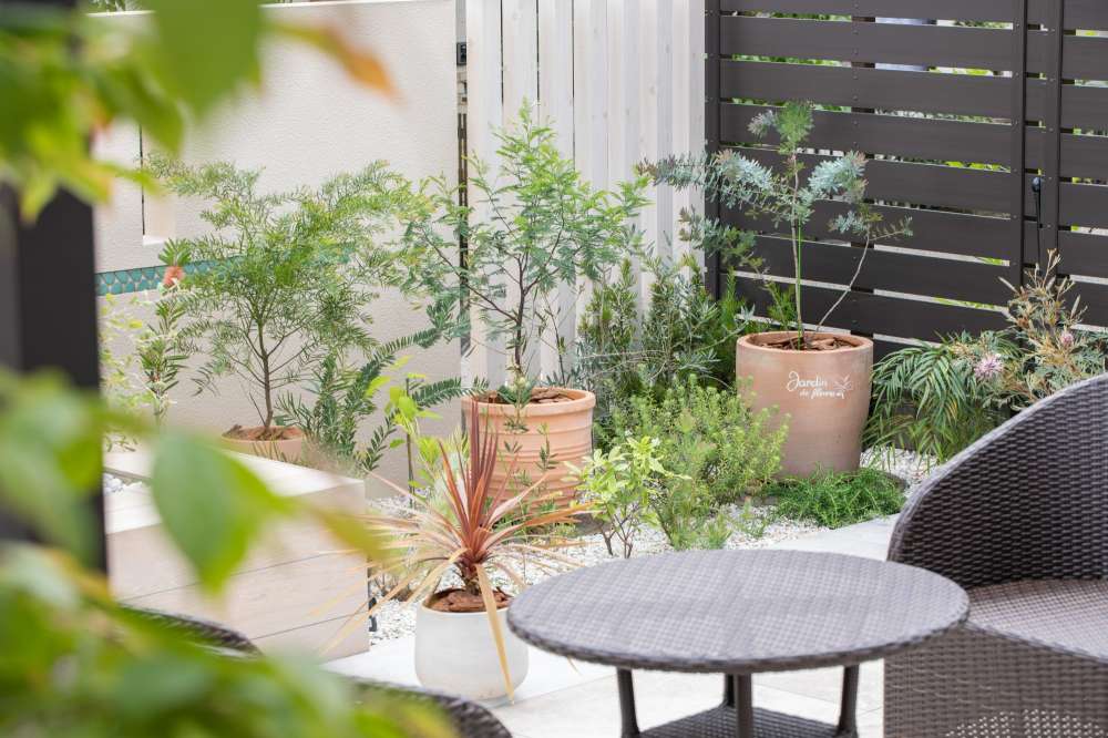 オージープランツのあるお庭