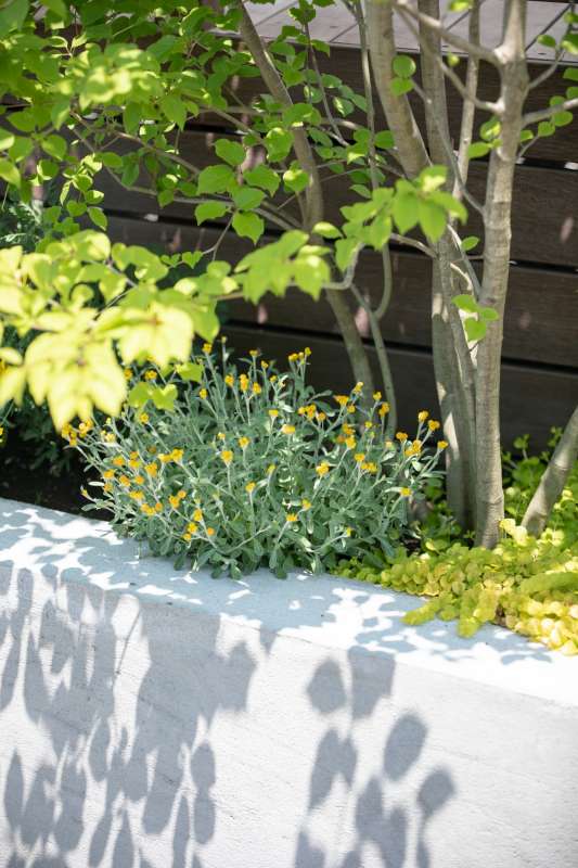 ナチュラルな植栽の花壇