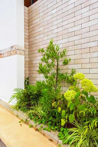 アクセントウォール前の植栽スペース