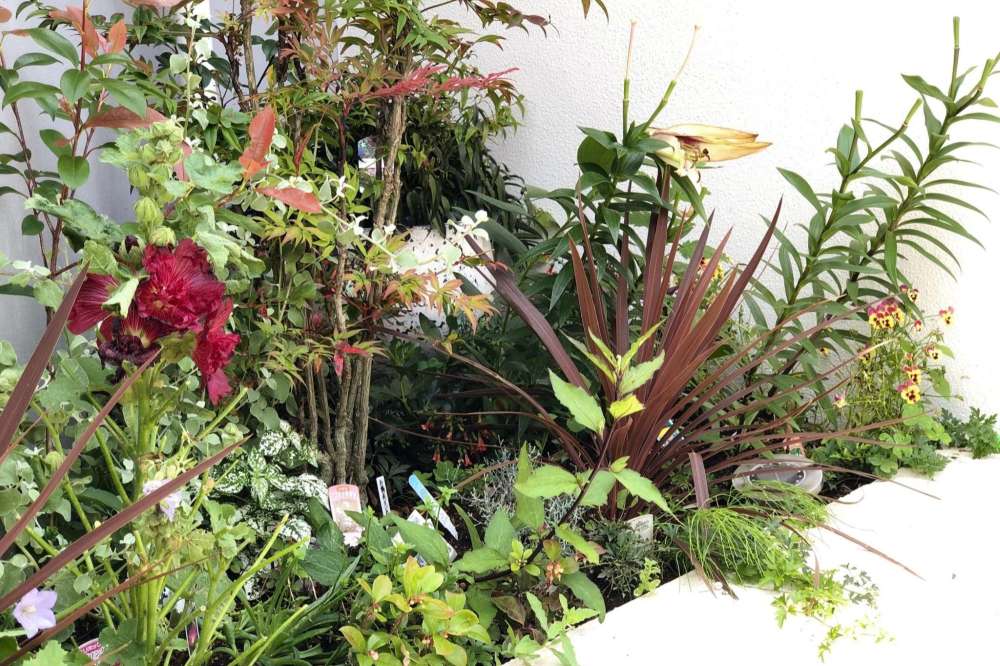 季節の花が咲く花壇