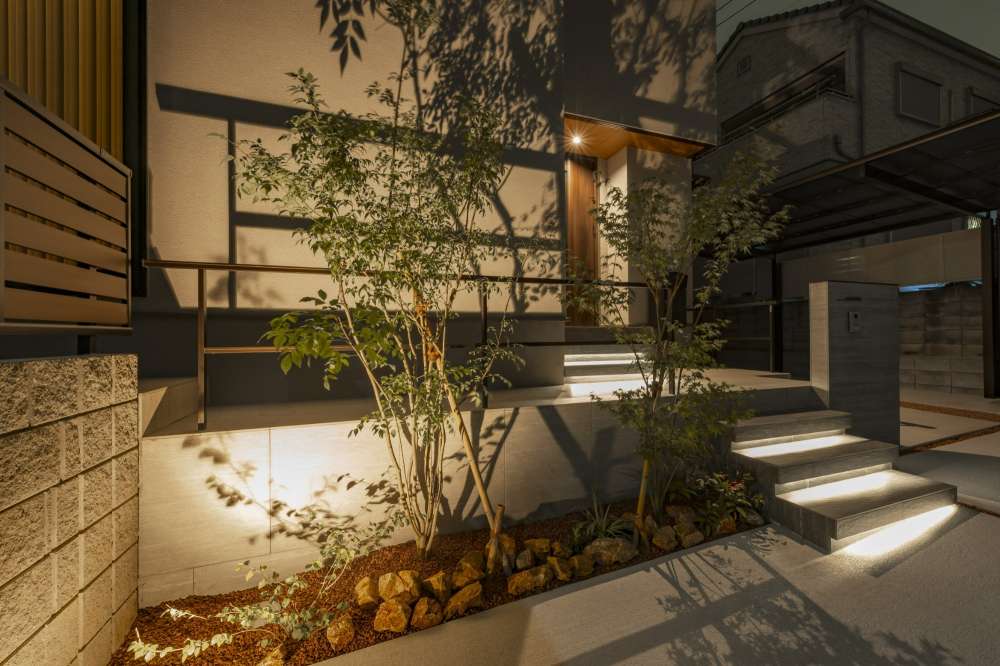 アオダモを照らして