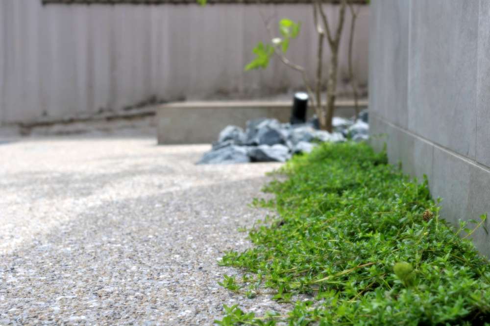 床面と門柱の間の下草