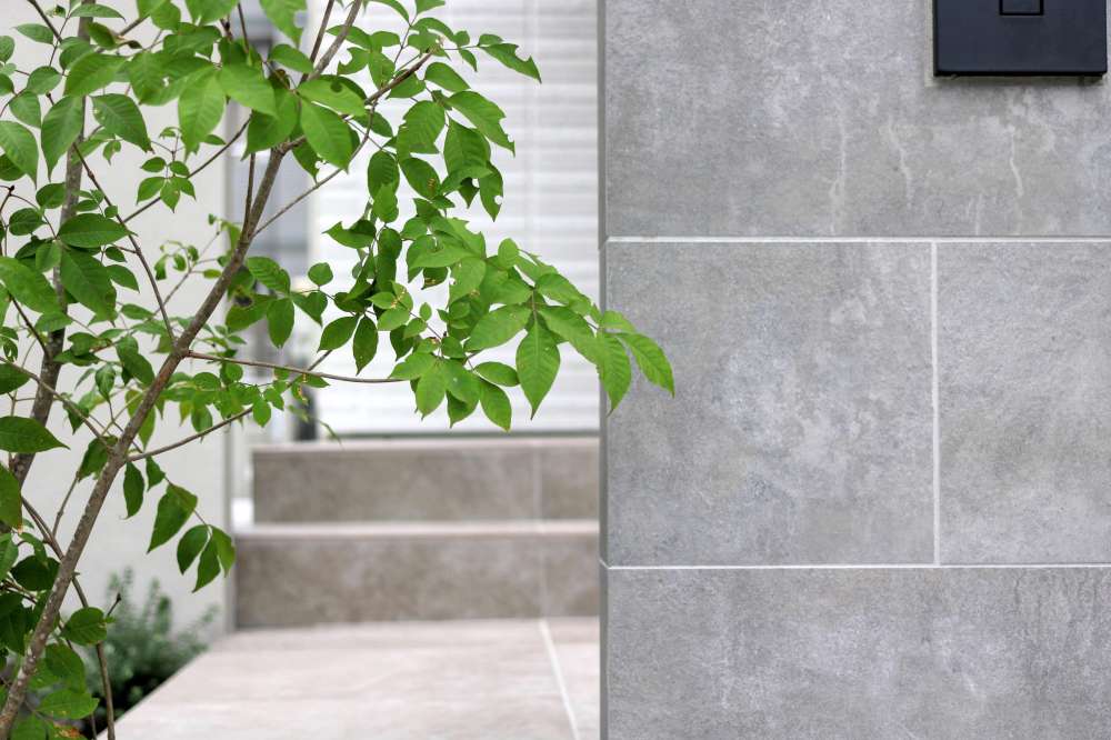 無機質なセラレバンテタイルと風にゆれるアオダモのコントラスト