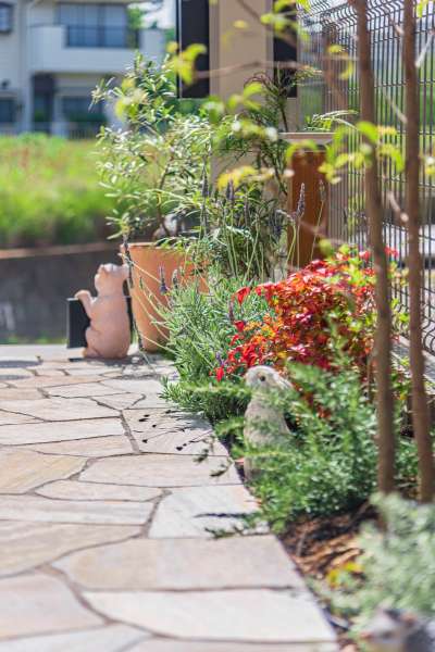 オタフクナンテンやラベンダー