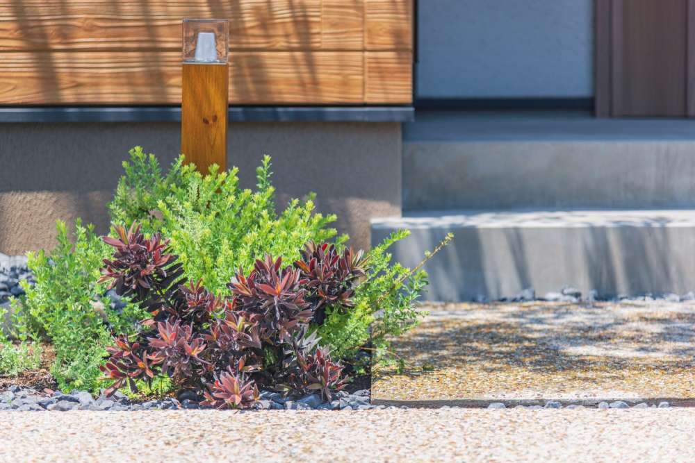 ロータスブリムストーンやユーフォルビア