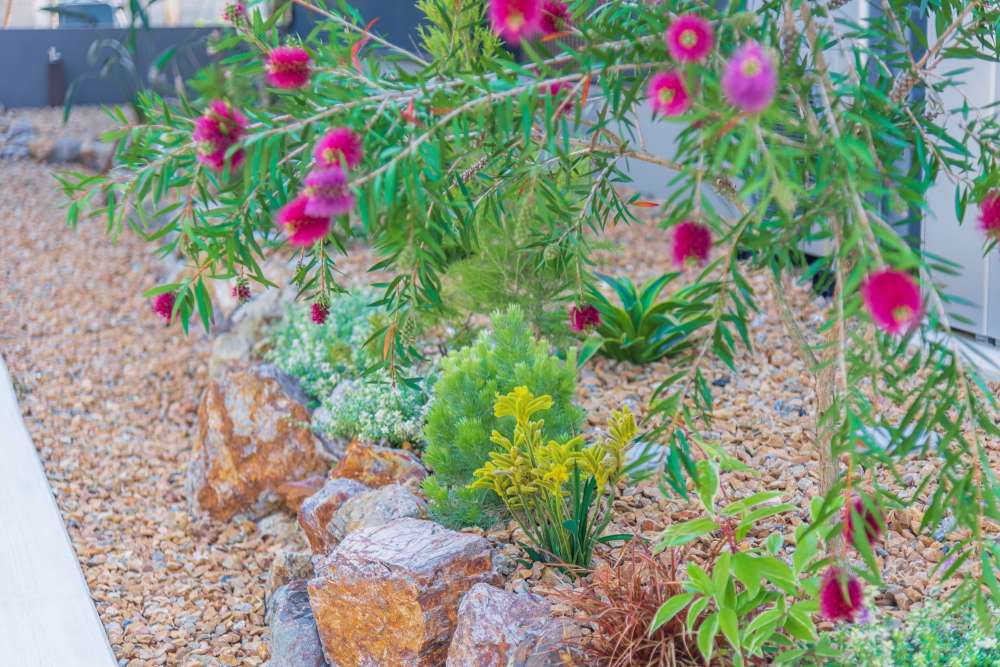 ロックガーデンに関する外構の施工事例