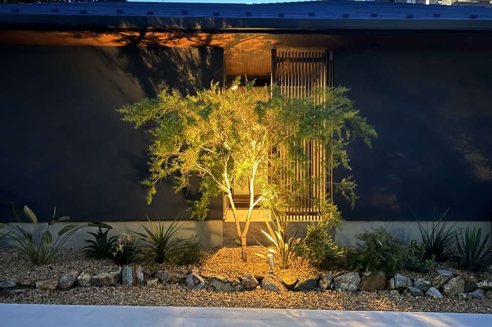 シンボルツリーのライトアップ