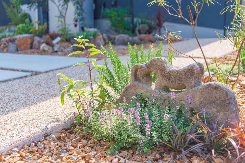 満開のフォックスツリータイム