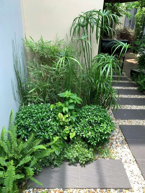 花壇に関する外構の施工事例