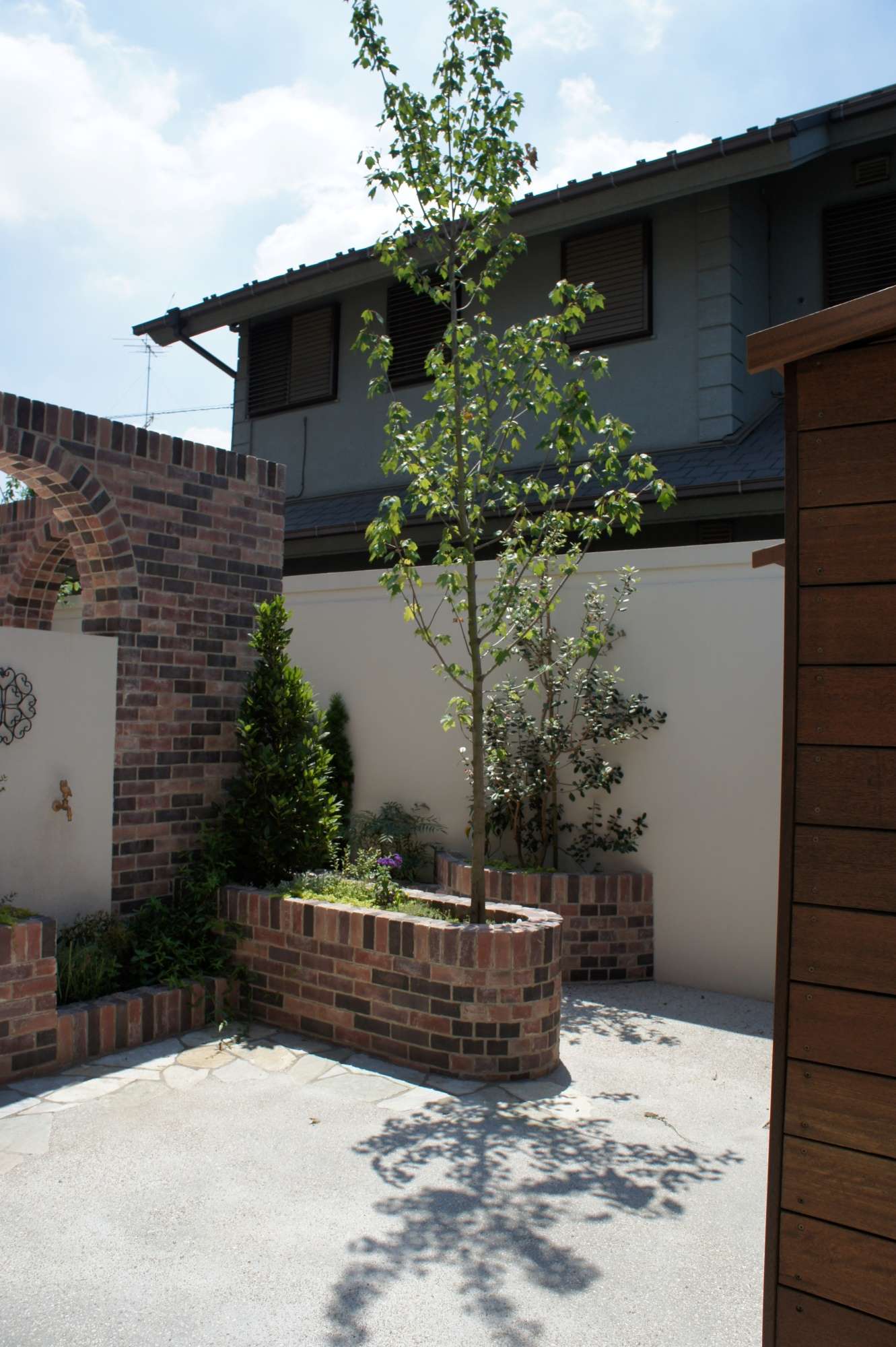 お庭のシンボルツリー