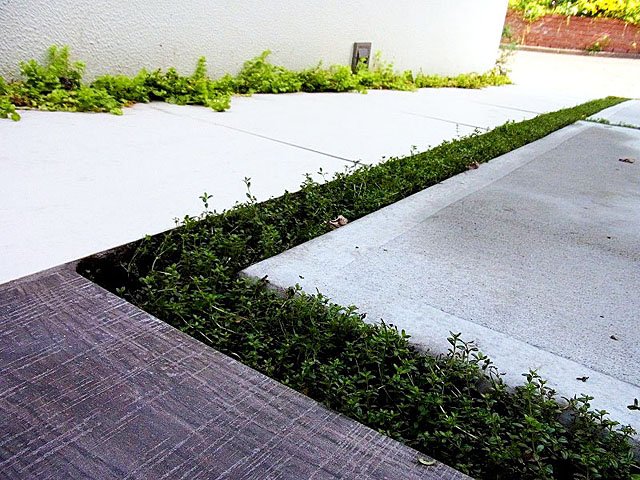 お庭の施工事例写真 No.941