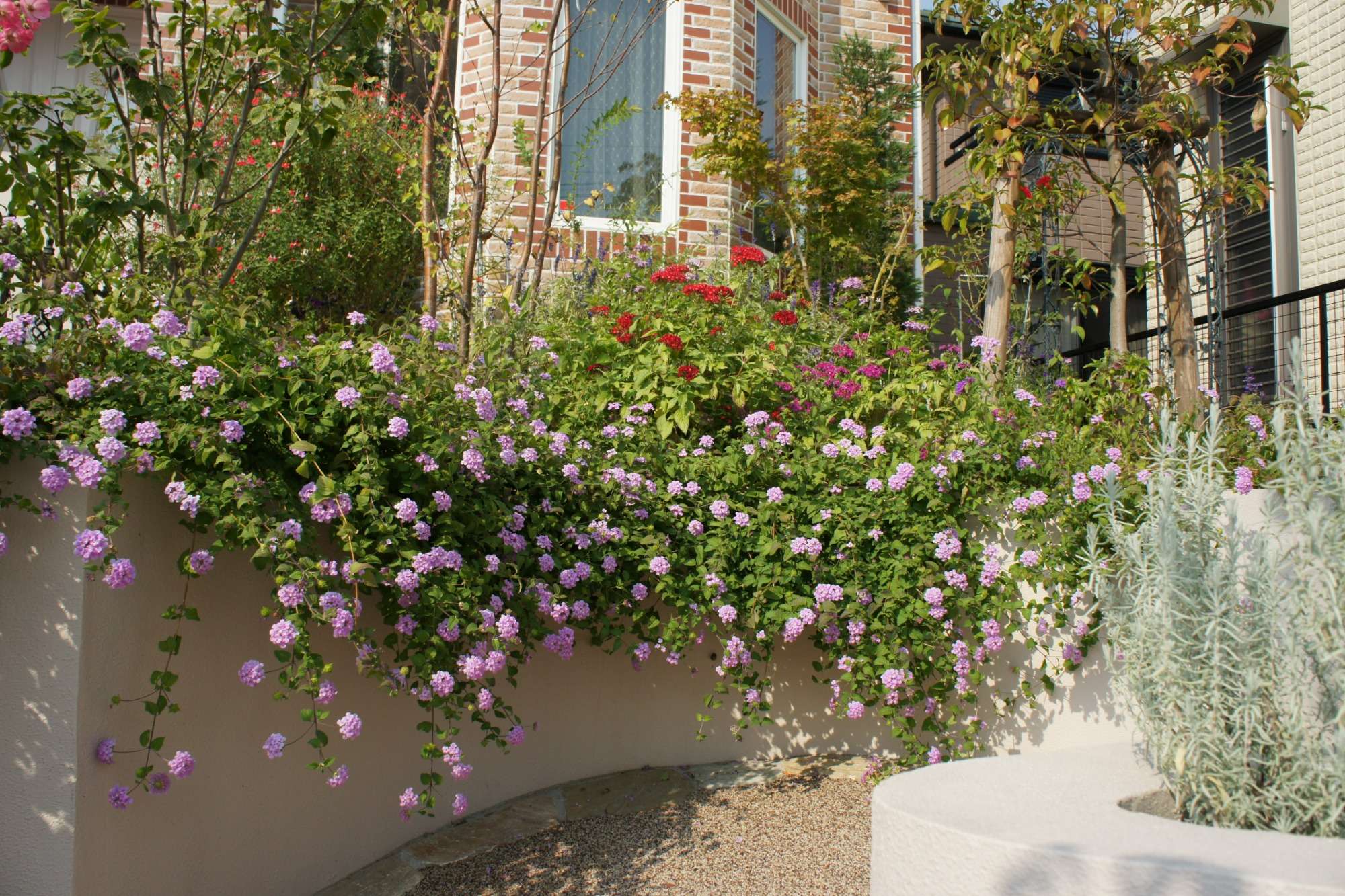 イングリッシュガーデンが広がるのクローズド外構