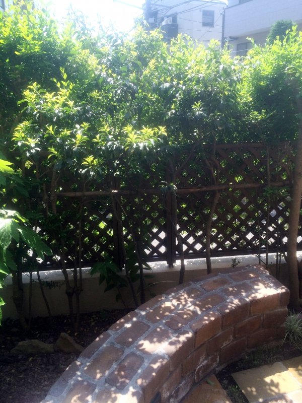 レンガのベンチ